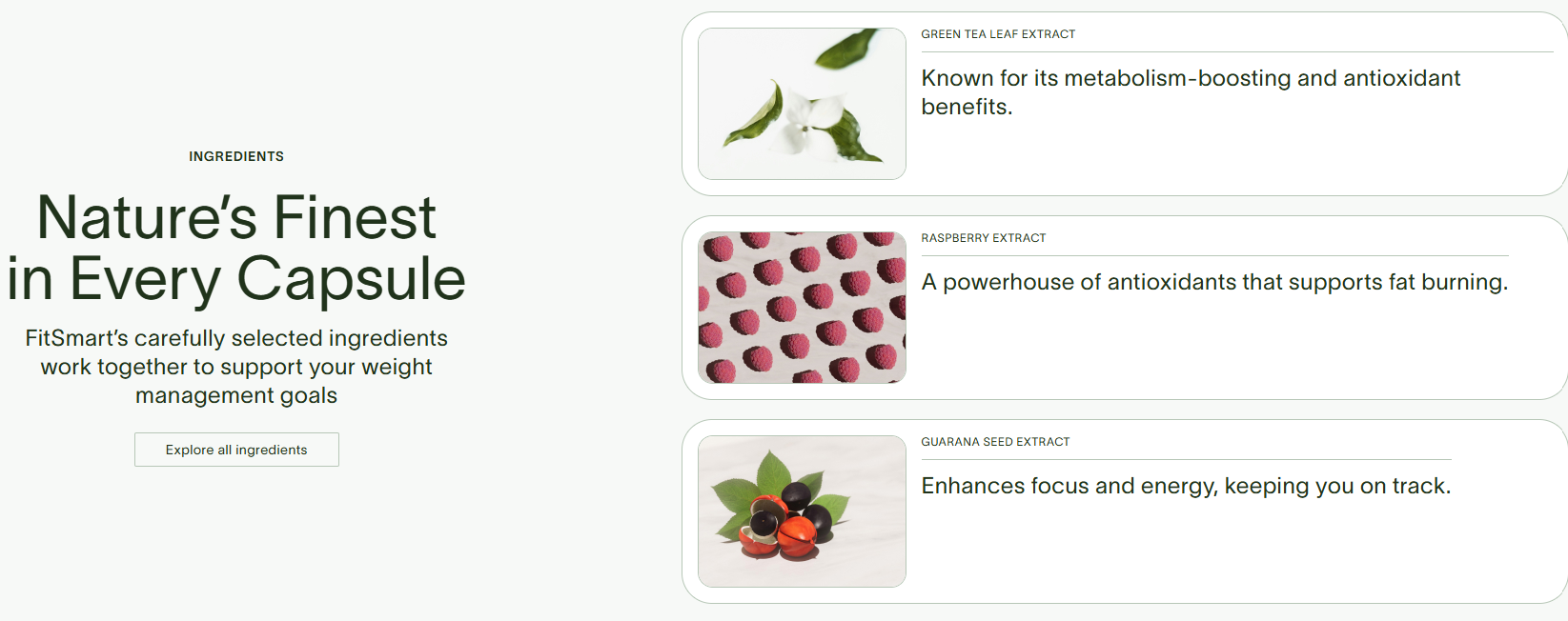 FitSmart 1 UK