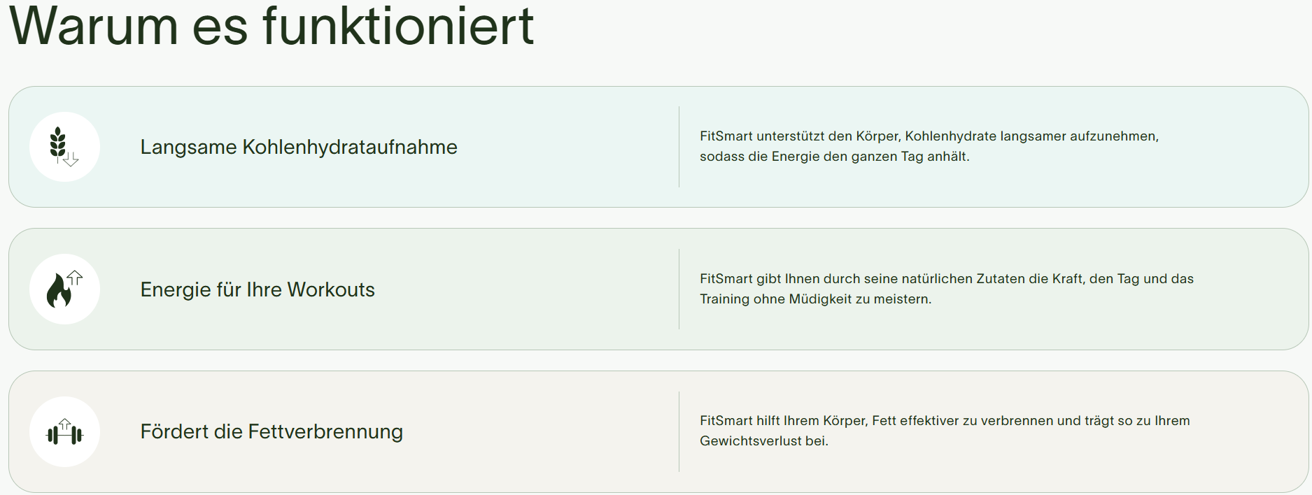 FitSmart Fat Burner DE
