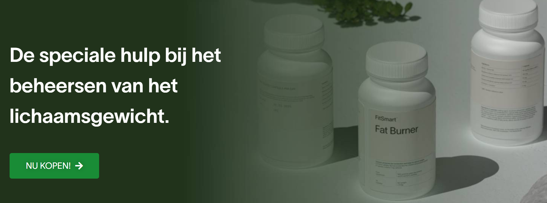 FitSmart Fat Burner NL