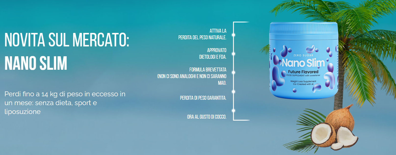 Nano Slim IT